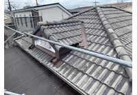 IMG_8889